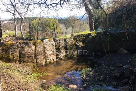 Landejendom i Vila Real, Vila Real, Vila Real - € 100.000 | Ref: 060704 - foto 33