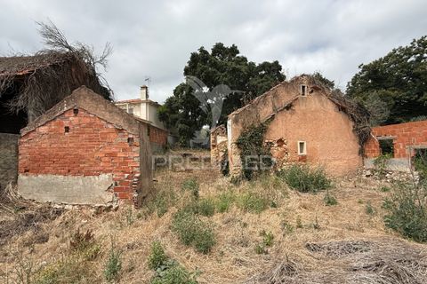 Byhus i Ourem, Santarem, Ourem - € 65.000 | Ref: 047960 - foto 4