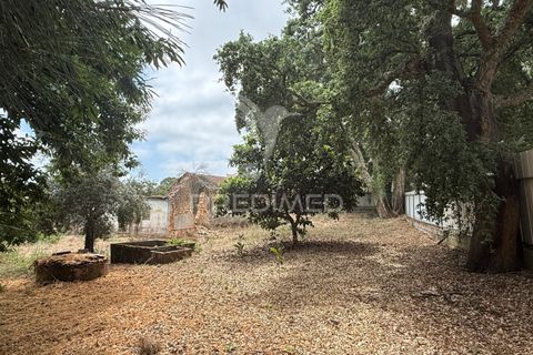 Byhus i Ourem, Santarem, Ourem - € 65.000 | Ref: 047960 - foto 12
