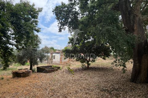 Byhus i Ourem, Santarem, Ourem - € 65.000 | Ref: 047960 - foto 16