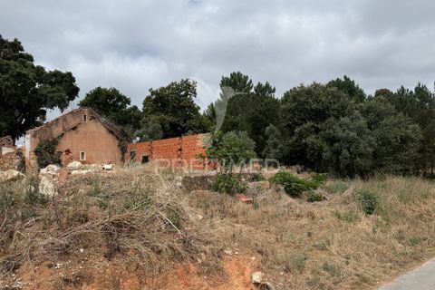 Byhus i Ourem, Santarem, Ourem - € 65.000 | Ref: 047960 - foto 23
