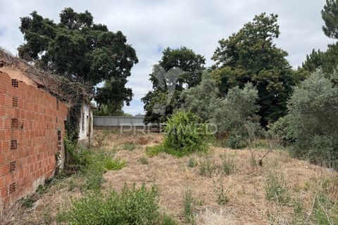Byhus i Ourem, Santarem, Ourem - € 65.000 | Ref: 047960 - foto 26