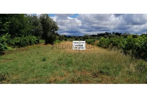 Helårsgrund i Agueda, Aveiro, Agueda - € 23.000 | Ref: IMO_216 - foto 1