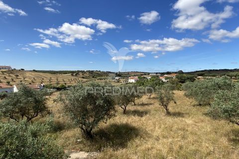 Byhus i Alandroal, Evora, Alandroal - € 129.000 | Ref: 060726 - foto 22