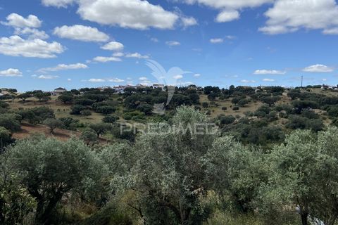 Byhus i Alandroal, Evora, Alandroal - € 127.000 | Ref: 060730 - foto 23