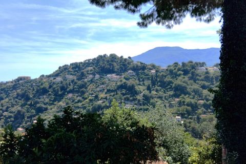 Villa i Menton, Alpes-Maritimes, Menton - € 650.000 | Ref: 87035428 - foto 36
