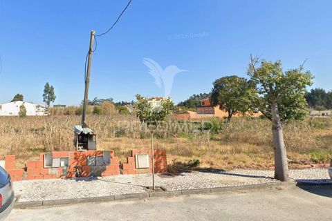 Helårsgrund i Vagos, Aveiro, Vagos - € 40.000 | Ref: 060743 - foto 2