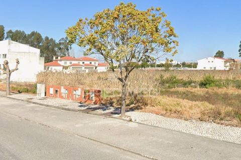 Helårsgrund i Vagos, Aveiro, Vagos - € 40.000 | Ref: 060743 - foto 3