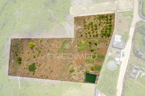 Helårsgrund i Calheta, Madeira, Calheta - € 320.000 | Ref: 060827 - foto 1