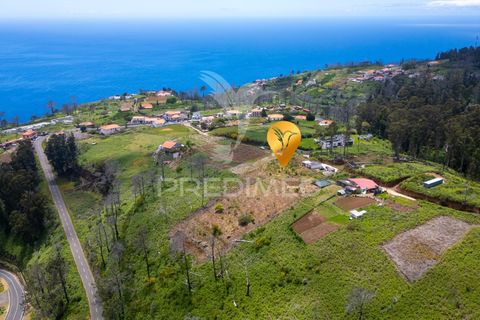 Helårsgrund i Calheta, Madeira, Calheta - € 320.000 | Ref: 060827 - foto 4