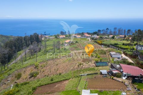 Helårsgrund i Calheta, Madeira, Calheta - € 320.000 | Ref: 060827 - foto 10