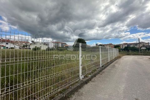 Helårsgrund i Entroncamento, Santarem, Entroncamento - € 450.000 | Ref: 060845 - foto 5