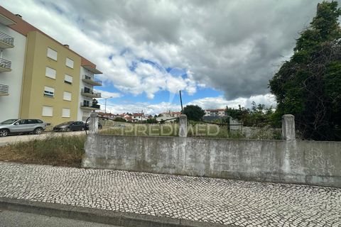 Helårsgrund i Entroncamento, Santarem, Entroncamento - € 450.000 | Ref: 060845 - foto 12