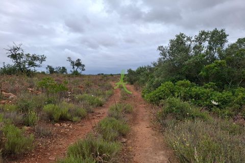 Helårsgrund i Lagoa, Faro, Lagoa - € 250.000 | Ref: LGA0090 - foto 2