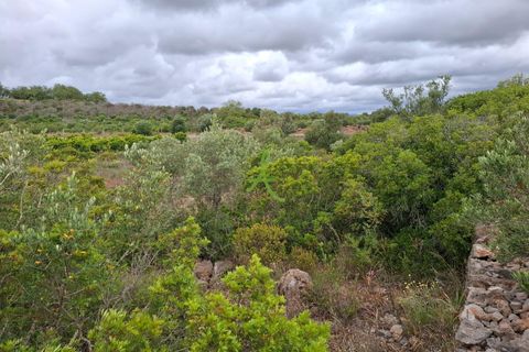 Helårsgrund i Lagoa, Faro, Lagoa - € 250.000 | Ref: LGA0090 - foto 8