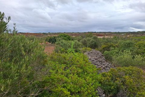 Helårsgrund i Lagoa, Faro, Lagoa - € 250.000 | Ref: LGA0090 - foto 9