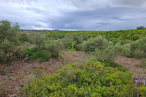 Helårsgrund i Lagoa, Faro, Lagoa - € 250.000 | Ref: LGA0090 - foto 10