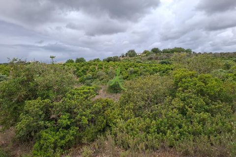 Helårsgrund i Lagoa, Faro, Lagoa - € 250.000 | Ref: LGA0090 - foto 11