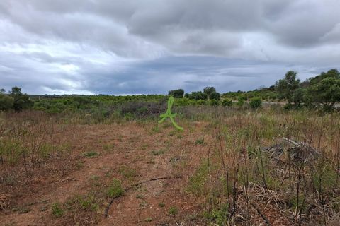 Helårsgrund i Lagoa, Faro, Lagoa - € 250.000 | Ref: LGA0090 - foto 13