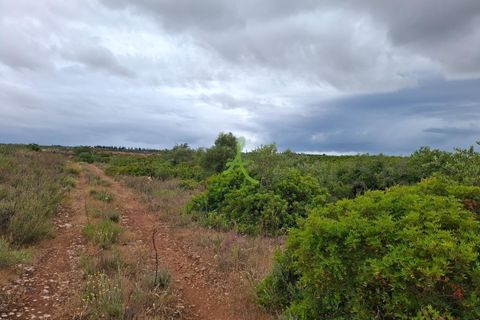 Helårsgrund i Lagoa, Faro, Lagoa - € 250.000 | Ref: LGA0090 - foto 15