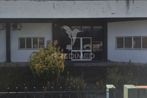 Erhvervsejendom i Cantanhede, Coimbra, Cantanhede - € 220.000 | Ref: 060687 - foto 2