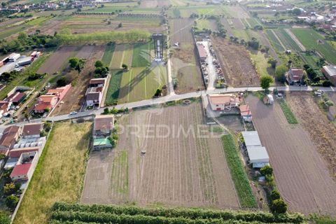 Helårsgrund i Cantanhede, Coimbra, Cantanhede - € 47.500 | Ref: 060732 - foto 2