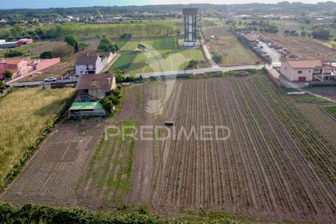 Helårsgrund i Cantanhede, Coimbra, Cantanhede - € 47.500 | Ref: 060732 - foto 3