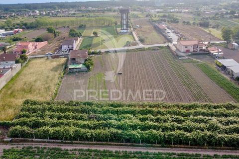 Helårsgrund i Cantanhede, Coimbra, Cantanhede - € 47.500 | Ref: 060732 - foto 4