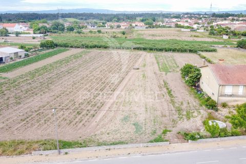 Helårsgrund i Cantanhede, Coimbra, Cantanhede - € 47.500 | Ref: 060732 - foto 5