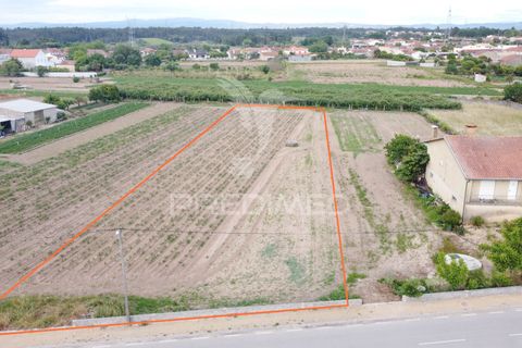 Helårsgrund i Cantanhede, Coimbra, Cantanhede - € 47.500 | Ref: 060732 - foto 6