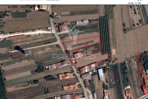Helårsgrund i Cantanhede, Coimbra, Cantanhede - € 47.500 | Ref: 060732 - foto 9
