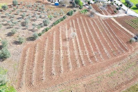 Byhus i Elvas, Portalegre, Elvas - € 769.000 | Ref: 060824 - foto 12
