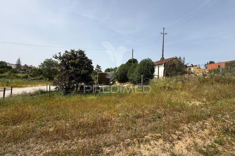 Byhus i Santarem, Santarem, Santarem - € 79.000 | Ref: 060835 - foto 11