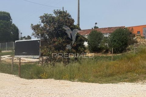 Byhus i Santarem, Santarem, Santarem - € 79.000 | Ref: 060835 - foto 12