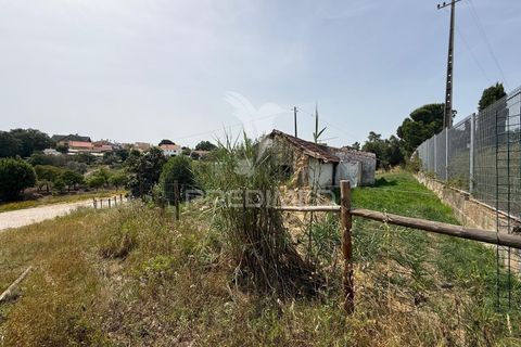Byhus i Santarem, Santarem, Santarem - € 79.000 | Ref: 060835 - foto 14