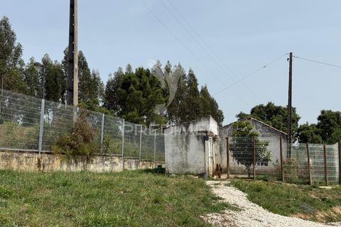 Byhus i Santarem, Santarem, Santarem - € 79.000 | Ref: 060835 - foto 17