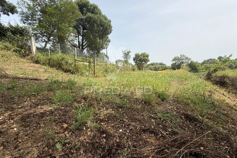 Byhus i Santarem, Santarem, Santarem - € 79.000 | Ref: 060835 - foto 18