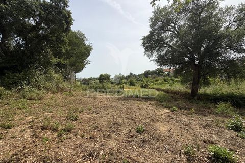 Byhus i Santarem, Santarem, Santarem - € 79.000 | Ref: 060835 - foto 19