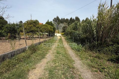 Byhus i Santarem, Santarem, Santarem - € 79.000 | Ref: 060835 - foto 23