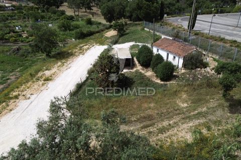 Byhus i Santarem, Santarem, Santarem - € 79.000 | Ref: 060835 - foto 27