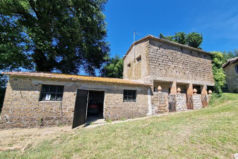 Villa i Amelia, Terni, Amelia - € 550.000 | Ref: AMELIA120 - foto 39