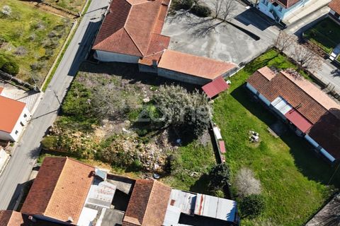 Helårsgrund i Anadia, Aveiro, Anadia - € 30.000 | Ref: ZMPT589063 - foto 3