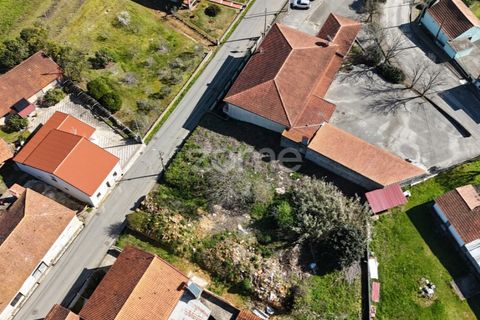Helårsgrund i Anadia, Aveiro, Anadia - € 30.000 | Ref: ZMPT589063 - foto 4