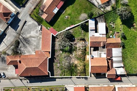 Helårsgrund i Anadia, Aveiro, Anadia - € 30.000 | Ref: ZMPT589063 - foto 6