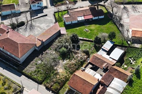 Helårsgrund i Anadia, Aveiro, Anadia - € 30.000 | Ref: ZMPT589063 - foto 7