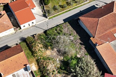 Helårsgrund i Anadia, Aveiro, Anadia - € 30.000 | Ref: ZMPT589063 - foto 8