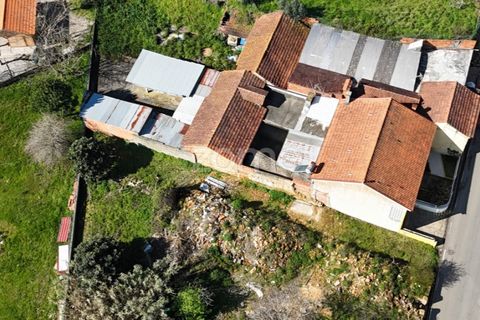 Helårsgrund i Anadia, Aveiro, Anadia - € 30.000 | Ref: ZMPT589063 - foto 10