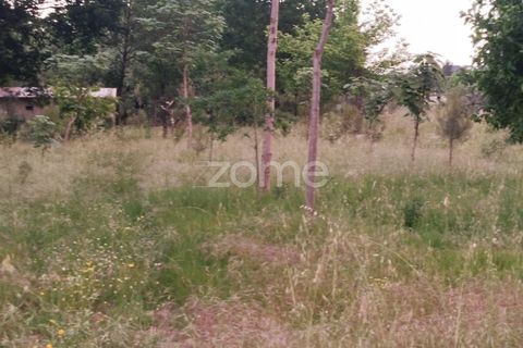 Helårsgrund i Mangualde, Viseu, Mangualde - € 35.000 | Ref: ZMPT589103 - foto 3