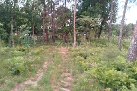 Helårsgrund i Mangualde, Viseu, Mangualde - € 35.000 | Ref: ZMPT589103 - foto 4