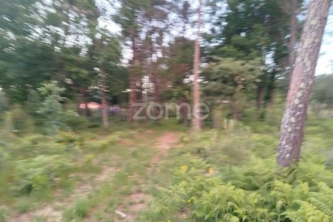 Helårsgrund i Mangualde, Viseu, Mangualde - € 35.000 | Ref: ZMPT589103 - foto 5